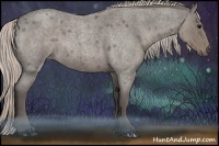 Horse Color:Silver Blue Roan Rabicano