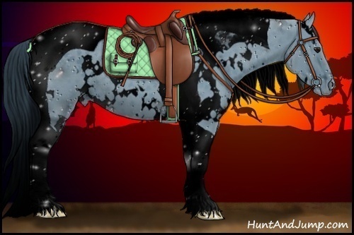 Horse Color:ERROR: UNKNOWN ANOMALY