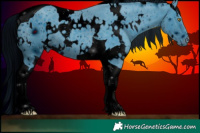 Horse Color:ERROR: UNKNOWN ANOMALY