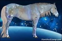 Horse Color:Silver Black Sabino Rabicano 