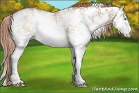 Horse Color:White Spotted Smoky Black Pearl 