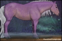 Horse Color:Watercolor Silver Black Sabino 