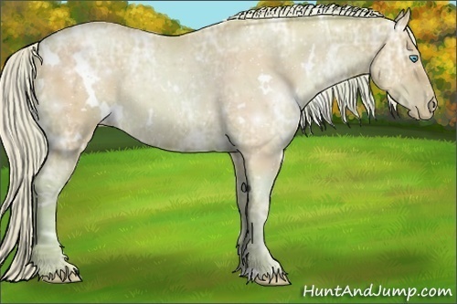 Horse Color:Watercolor White Spotted Silver Smoky Black Ice Pearl Rabicano 