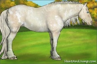 Horse Color:Watercolor White Spotted Silver Smoky Black Ice Pearl Rabicano