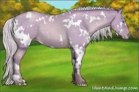 Horse Color:Watercolor White Spotted Silver Smoky Black Pearl 