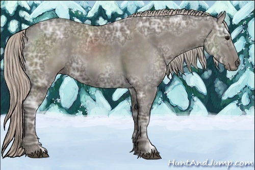 Horse Color:Silver Black Ice Rabicano