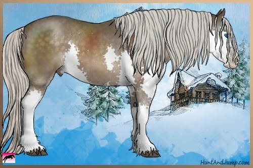 Horse Color:Silver Bay Splash 