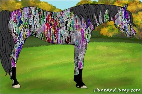 Horse Color:Black Ice