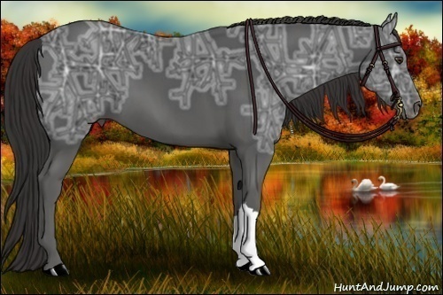 Horse Color:Liver Chestnut Ice 