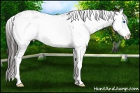 Horse Color:Liver Chestnut Frame 
