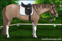 Horse Color:Black Pearl Tobiano 
