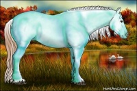 Horse Color:White Spotted Chestnut Blanket 