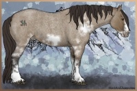 Horse Color:White Spotted Liver Red Dun Roan Frame