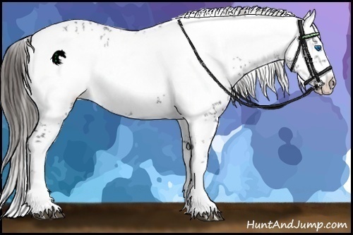 Horse Color:Liver Chestnut Frame 