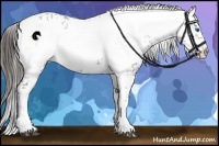 Horse Color:Liver Chestnut Frame 