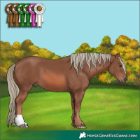 Horse Color:Chestnut Mushroom 