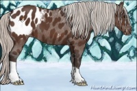 Horse Color:Silver Brown Blanket