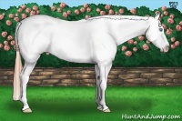 Horse Color:Buckskin Pearl Frame Blanket