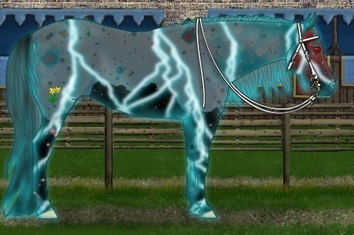 Horse Color:ERROR: UNKNOWN ANOMALY