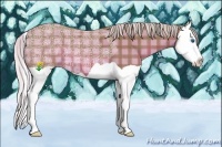 Horse Color:Watercolor Plaid Silver Brown Ice Splash
