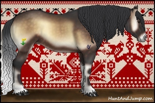 Horse Color:Bay Onyx 