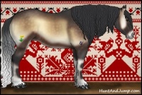 Horse Color:Bay Onyx 