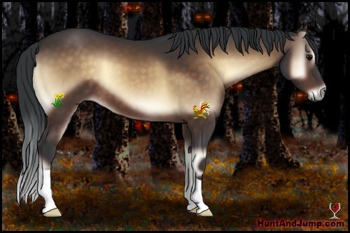 Horse Color:Bay Onyx