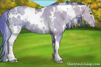 Horse Color:Watercolor White Spotted Black Ice Pearl Rabicano