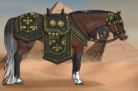 Horse Color:Bay Sabino 
