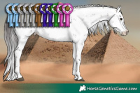 Horse Color:Bay Sabino