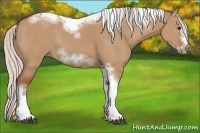 Horse Color:Silver Bay Dun Sabino Tobiano Frame Rabicano 
