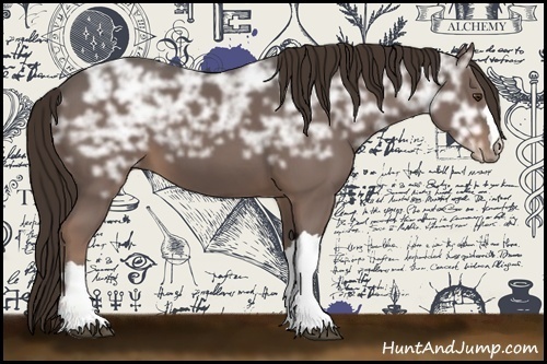 Horse Color:Liver Chestnut Ice 