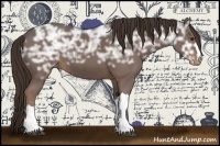 Horse Color:Liver Chestnut Ice 