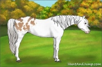 Horse Color:Chocolate Palomino Varnish