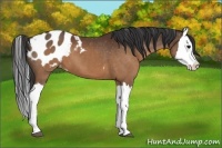 Horse Color:Brown Splash Varnish