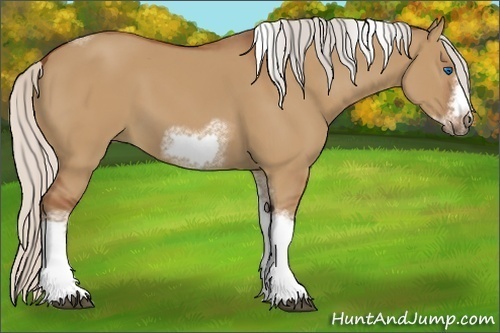 Horse Color:Silver Bay Dun Sabino Tobiano Frame Rabicano 