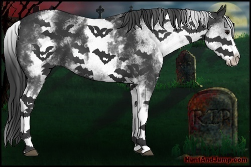 Horse Color:White Spotted Black