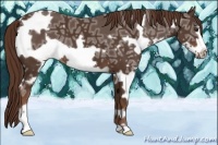 Horse Color:White Spotted Liver Chestnut Ice Frame