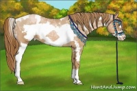 Horse Color:White Spotted Chestnut Ice Pearl Frame 