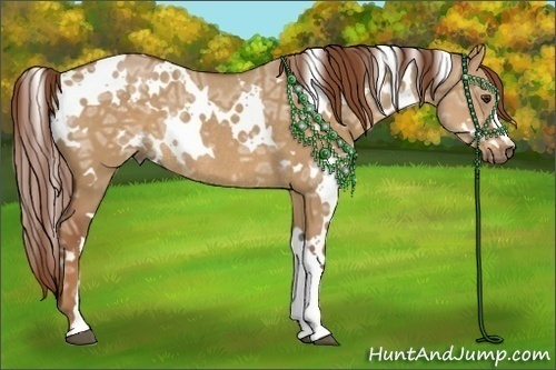 Horse Color:White Spotted Red Dun Ice Rabicano 
