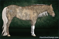 Horse Color:Silver Amber Champagne Ice Rabicano