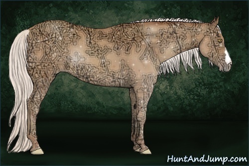Horse Color:Silver Amber Champagne Ice Rabicano
