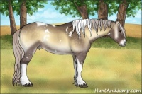 Horse Color:White Spotted Silver Brown Onyx Tobiano Rabicano
