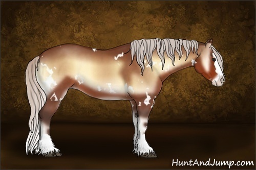 Horse Color:White Spotted Silver Bay Onyx Splash