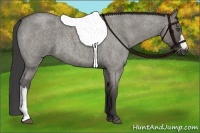 Horse Color:Smoky Grullo Roan 