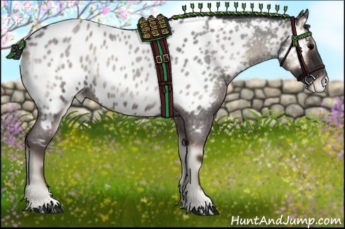 Horse Color:Blue Onyx Roan Near Leopard