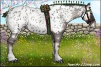 Horse Color:Blue Onyx Roan Near Leopard