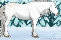 Horse Color:Chocolate Palomino Pearl Dun Varnish 