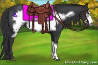 Horse Color:Black Frame 