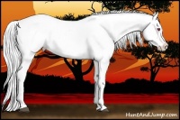 Horse Color:White Spotted Silver Grullo Chinchilla Ice Roan Pearl Appaloosa Rabicano Brindle